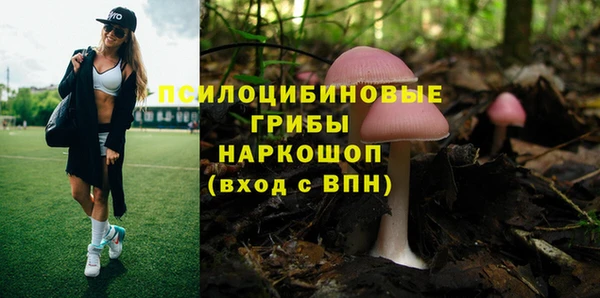 ГАЛЛЮЦИНОГЕННЫЕ ГРИБЫ Белоозёрский