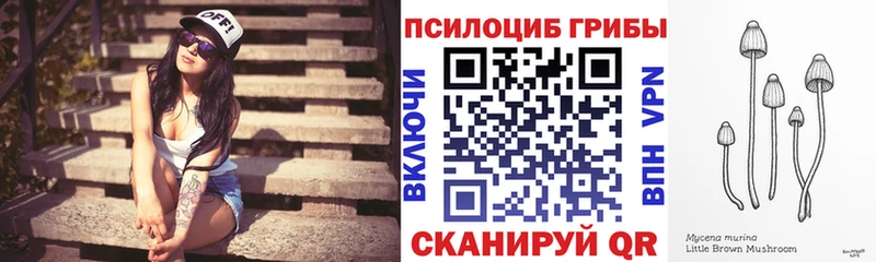 Галлюциногенные грибы Psilocybine cubensis  продажа наркотиков  Мыски 